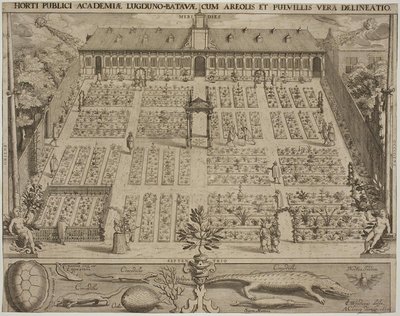 Botanická zahrada v Leydenu od Willem Isaaksz Swanenburgh