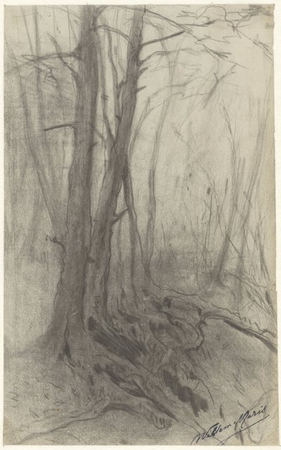 Stromy v lese od Willem Maris