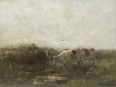 Krávy na podmáčené louce od Willem Maris
