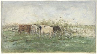 Krávy u louže od Willem Maris