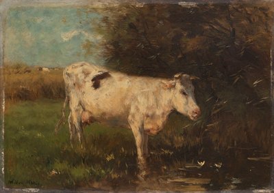Bílá kráva od Willem Maris