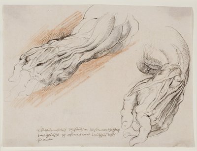 Anatomické studie (écorchés.) Mužovo stažené levé předloktí ve dvou polohách. od Willem Panneels