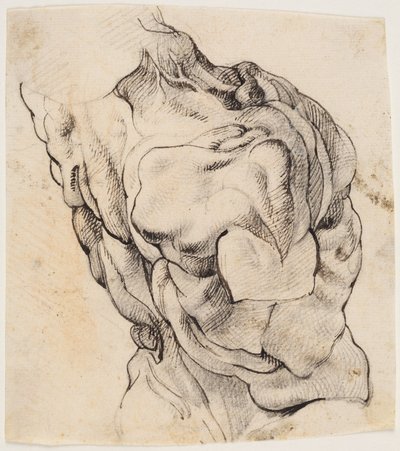 Anatomická studie (écorché). Torzo staženého muže viděné ze zadní poloviny otočené doprava od Willem Panneels
