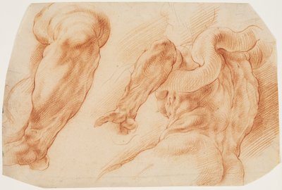 Laocoon. Studie Laocoonovy levé paže a zadní části jeho trupu při pohledu zleva a zespodu od Willem Panneels