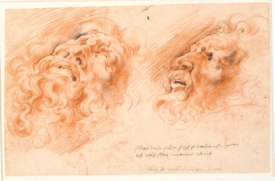 Laocoon. Dvě studie Laocoonovy tváře, jedna vypadá zespodu tváří v tvář a druhá z profilu vlevo. od Willem Panneels