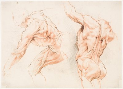 Dvě anatomické studie muže naklánějícího se doleva a další při pohledu zezadu se zdviženou paží (écorché) od Willem Panneels