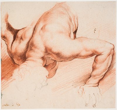 Zápasníci. Skupina starožitných soch. Nižší postava od Willem Panneels