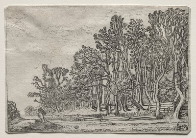 The Set of the Landscapes: Two Plank-Hedges, 1616. od Willem Pietersz Buytewech