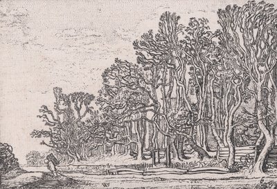 Dva živé ploty z prken, z Verscheyden Landtschapjes Různé malé krajiny, deska 6,..., ca. 1616. od Willem Pietersz. Buytewech