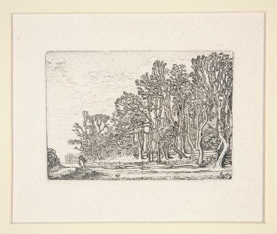 Dva živé ploty z prken, Talíř 6 z The Set of the Landscapes od Willem Pietersz. Buytewech