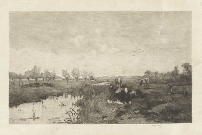 Polder krajina s krávami od Willem Steelink (II)