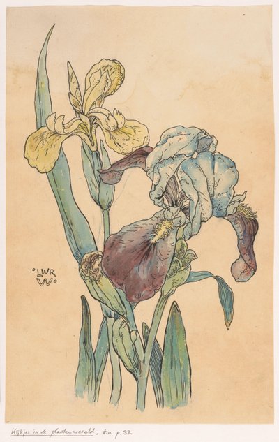 Duhovka od Ludwig Willem Reymert Wenckebach