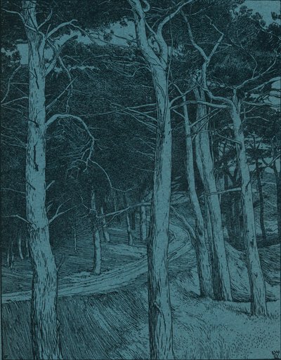 Woodland, c1912 od Willem Wenckebach