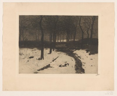 Lesní cesta v Ewijkshoeve od Willem Witsen (signed by artist)