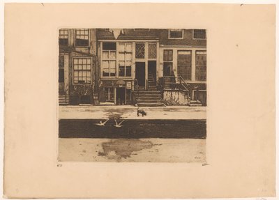Pohled na domy u kanálu v Amsterdamu od Willem Witsen (signed by artist)