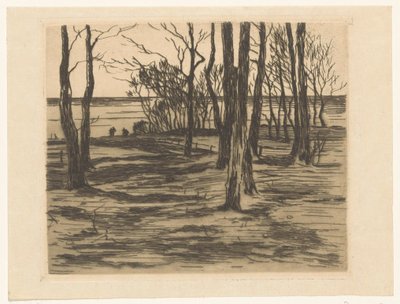 Stromy na nábřeží ve Valkeveen od Willem Arnoldus Witsen