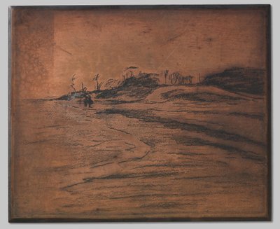 Valkeveen na Zuiderzee od Willem Arnoldus Witsen