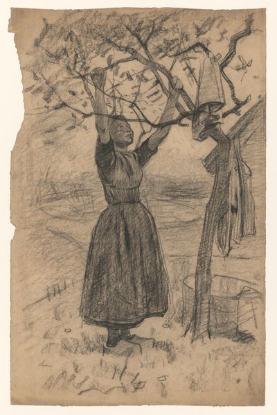 Žena věší prádlo na strom, vpravo od Willem Arnoldus Witsen