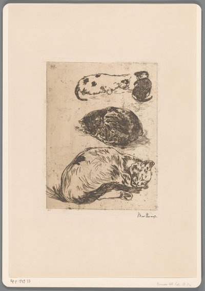 Studium koček (původní název) od Willem de Zwart (signed by artist)