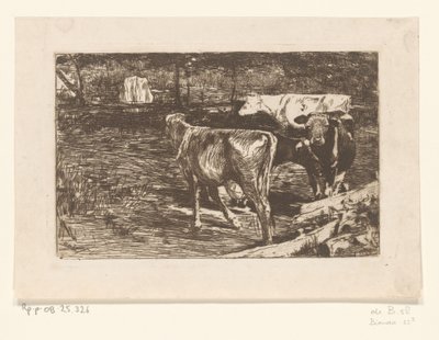 Čtyři krávy na louce Milk bend (původní název) od Willem de Zwart