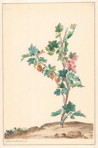 Angrešt v krajině od Willem van Leen (attributed to)