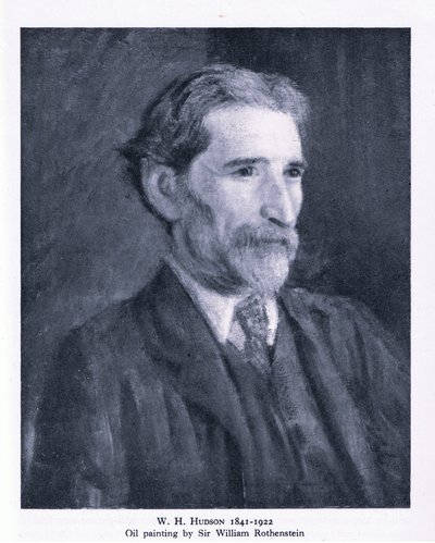 Portrét W. H. Hudsona (litho) od William (after) Rothenstein