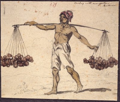 WD 961 f.279 od William Alexander