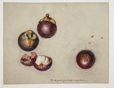 WD 961 f.27 od William Alexander