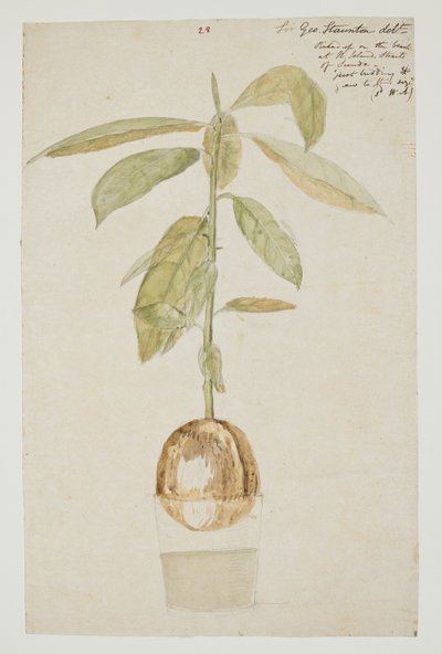 WD 961 f.28 od William Alexander