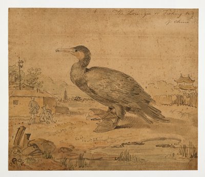 WD 961 f.6 od William Alexander