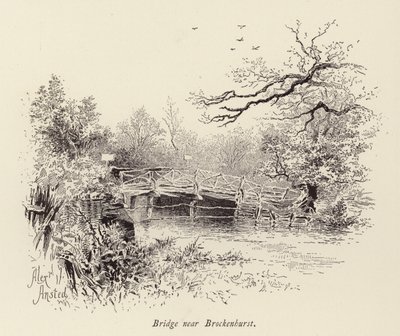 Most u Brockenhurstu (rytina) od William Alexander Ansted