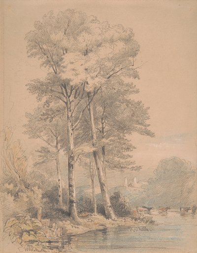 Hrad Llandovery, Jižní Wales od William Alfred Delamotte