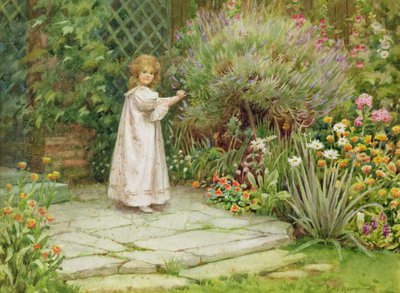 Moje zahrada od William Ashburner