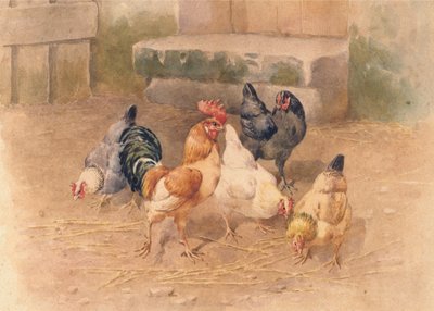 Kuřata (akvarel s tělovou barvou na papíře) od William Baptiste Baird