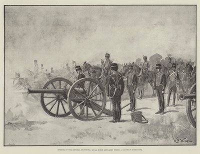 Otevření Císařského institutu, Královské jízdní dělostřelectvo střílí salvu v Hyde Parku od William Barnes Wollen