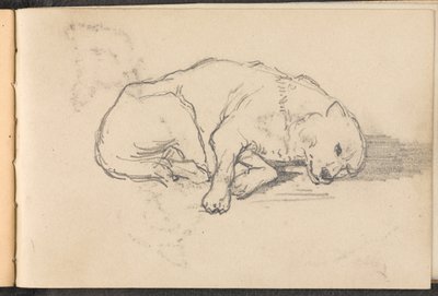 Náčrt spícího psa, cca 1879 od William Barnes Wollen