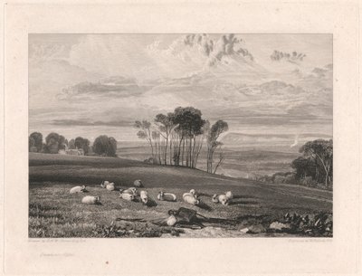 Crowhurst, Sussex od William Bernard Cooke