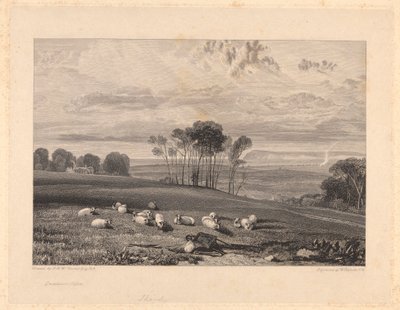 Crowhurst, Sussex od William Bernard Cooke