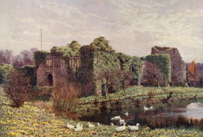 Hrad Allington (barevná litografie) od William Biscombe Gardner