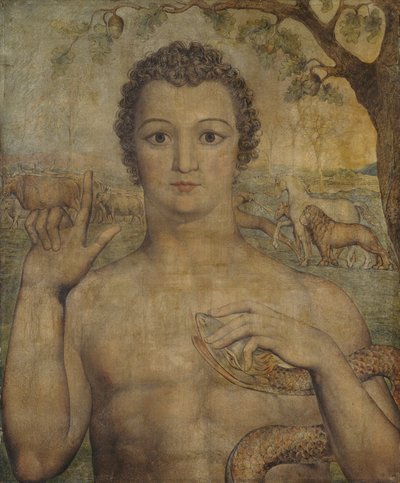 Adam pojmenovává zvířata od William Blake
