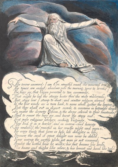 Amerika. Proroctví, talíř 10, Teror odpověděl ... od William Blake