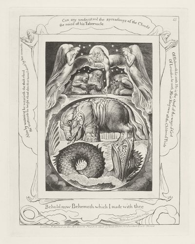 Hle, nyní Behemoth, kterého jsem s tebou udělal od William Blake