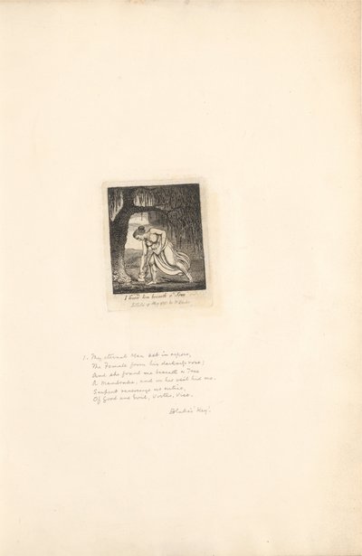 Pro pohlaví- brány ráje, talíř 3, našel jsem ho pod stromem od William Blake