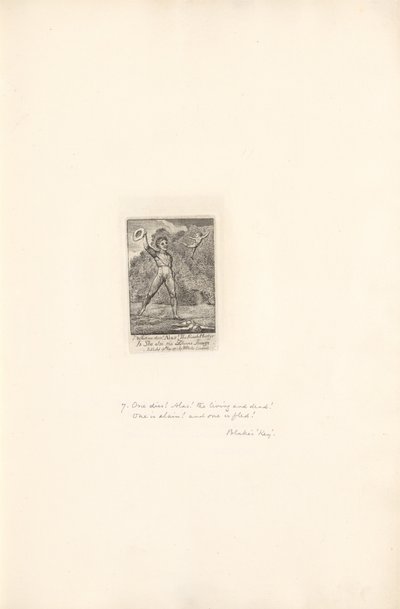 Pro pohlaví- Brány ráje, talíř 9, běda! od William Blake