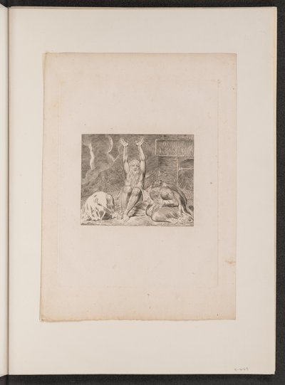 Jobovo zoufalství od William Blake