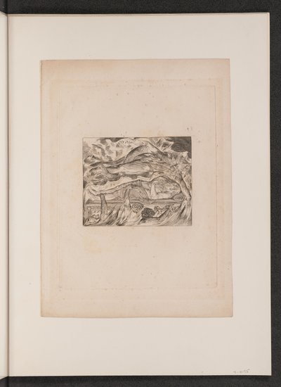 Jobovy zlé sny od William Blake