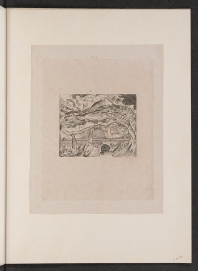 Jobovy zlé sny, 1825. od William Blake