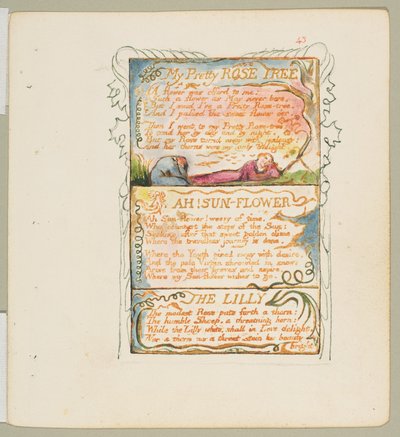 Songs of Innocence and of Experience: My Pretty Rose Tree, Ah! Sun-Flower, The Lily, ca. 1825. od William Blake