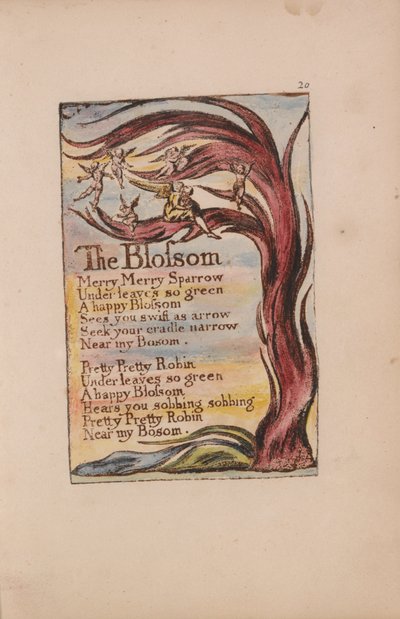 Písně nevinnosti a zkušeností, deska 20, květ (Bentley 11) od William Blake