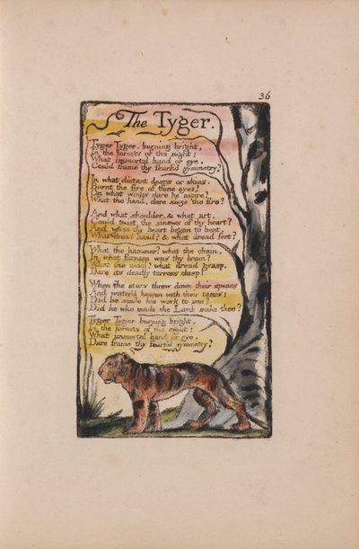 Songs of Innocence and of Experience, Plate 36, The Tyger (Bentley 42) od William Blake